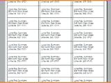 Avery Labels 8460 Template Avery 8460 Template Avery Labels 8460 Template Address