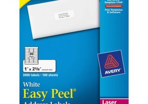 Avery Mailing Labels Template 30 Per Sheet Mailing Label Templates 30 Per Sheet and Avery 5160 Easy