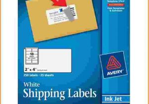 Avery Shipping Label Template 8163 Avery 5029 Template Word