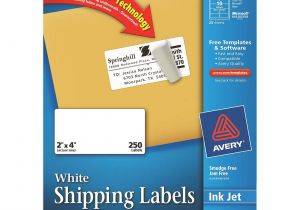 Avery Shipping Label Template 8163 Printer