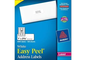 Avery White Address Labels 5160 Template Avery Laser Labels Mailing 3000 Bx White Ld Products