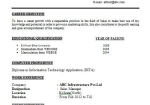 B Com Student Resume Over 10000 Cv and Resume Samples with Free Download Ba