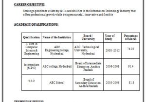 B.tech Professional Resume Example Template Of Excellent Fresher B Tech Resume Sample