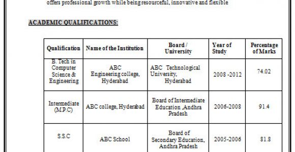 B.tech Professional Resume Example Template Of Excellent Fresher B Tech Resume Sample