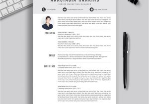 Back Office Resume format Word 2020 2021 Pre formatted Resume Template with Resume Icons