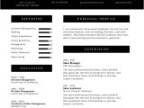 Back Office Resume format Word Official Resume Template In Adobe Photoshop Illustrator