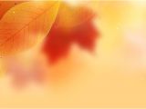 Background Image In Email Template Fall Autumn Email Stationery Stationary Fall Leaves