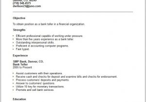 Bank Teller Resume Templates No Experience Banking and Insurance Resume Examples