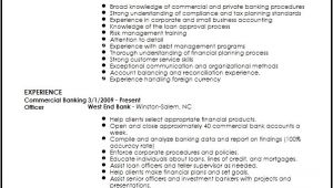 Banking Professional Resume Free Professional Banking Resume Template Resume now
