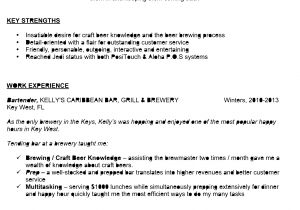 Bartender Resume Objective Samples Awesome Sample Bartender Resume to Use as Template