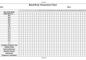 Basal Body Temperature Chart Template How to Measure Basal Body Temperature How Do Bbt Patterns