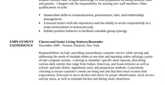 Basic Bartender Resume Basic Bartender Resume Template
