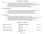 Basic Beginner Resume Entry Level Resume Sample Resume Objective Statement
