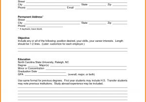 Basic Blank Resume 5 Blank Basic Resume Template Professional Resume List