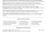 Basic Business Resume 20 Basic Business Resume Templates Pdf Doc Free