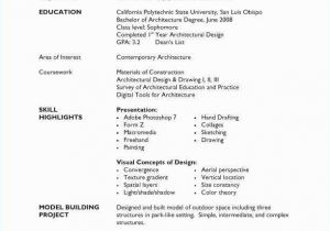 Basic Computer Knowledge In Resume 12 13 Computer Skills Resume Examples Lascazuelasphilly Com