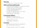 Basic Computer Knowledge In Resume Skill for Resume Examples Wikirian Com
