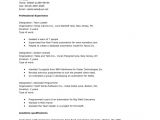 Basic Computer Knowledge Resume format 13 Computer Skills Resume Samplebusinessresume Com