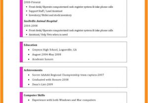 Basic Computer Knowledge to Put On Resume Computer Skills Resume Example Memo Example