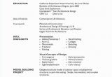 Basic Computer Skills Description for Resume 12 13 Computer Skills Resume Examples Lascazuelasphilly Com