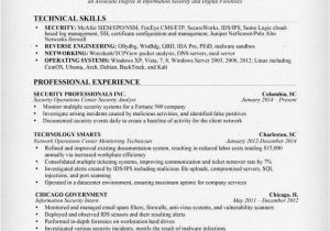 Basic Computer Skills Description for Resume 13 Computer Skills Resume Samplebusinessresume Com