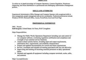 Basic Computer Skills Description for Resume 7 Best Resume Computer Skills Images On Pinterest Sample