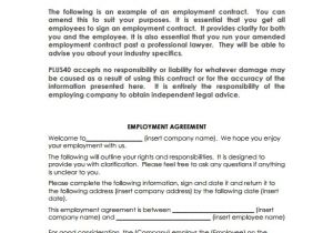 Basic Contract Of Employment Template Sample Basic Contract Template 18 Free Sample Example