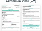 Basic Difference Between Cv and Resume Cv Vs Resume What are the Differences Definitions