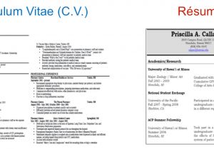 Basic Difference Between Cv and Resume Difference Cv and Resumes Zelay Wpart Co