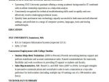 Basic Entry Level Resume 35 It Resume Templates In Word Free Premium Templates