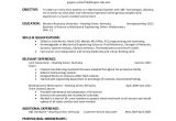 Basic General Resume Objective Sample General Resume Objective 5 Documents In Pdf
