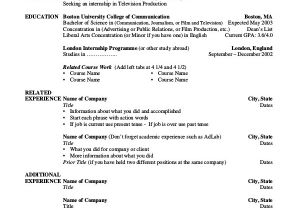 Basic Information In Resume Basic Resume Samples Examples Templates 8 Documents