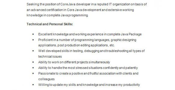 Basic Java Resume Java Developer Resume Template 14 Free Samples
