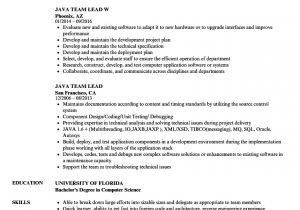 Basic Java Resume Java Team Lead Resume Samples Velvet Jobs