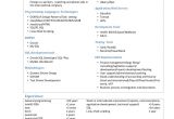 Basic Java Resume Resume format Resume for Java Developer