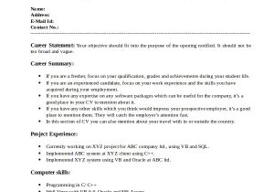 Basic Job Resume Basic Resume Sample 8 Examples In Pdf Word