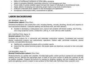 Basic Job Resume Objective Examples Free Sample Resume Objectives You Must Have some