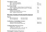 Basic Job Resume Pdf 7 Cv Samples for Freshers Pdf theorynpractice