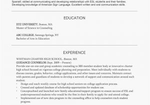 Basic Knowledge Of Spanish Resume Resume Example with A Profile Section