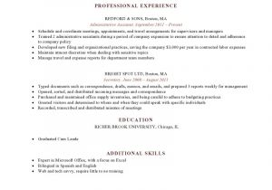 Basic Modern Resume Expert Preferred Resume Templates Resume Genius
