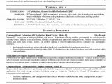 Basic Networking Resume Literature Review Car Buying Behavior Buy A Research