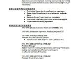 Basic Nursing Resume Sample Basic Resume 21 Documents In Word