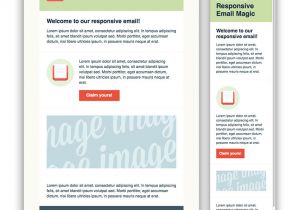 Basic Responsive Email Template 5 Responsive Newsletter Templates Mdirector Com