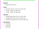 Basic Resume Builder Basic Resume Template E Commerce