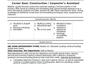 Basic Resume Building Sample Construction Resume Template 11 Free Documents