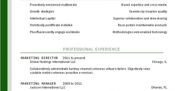 Basic Resume Examples 2018 Basic Resume Template Free 2018 World Of Reference