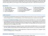 Basic Resume Examples Australia Cv Template Australia Free Professional Resume Template