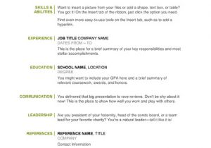 Basic Resume Examples Basic Resume