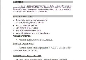 Basic Resume Examples India Image Result for Resume format India Resume format