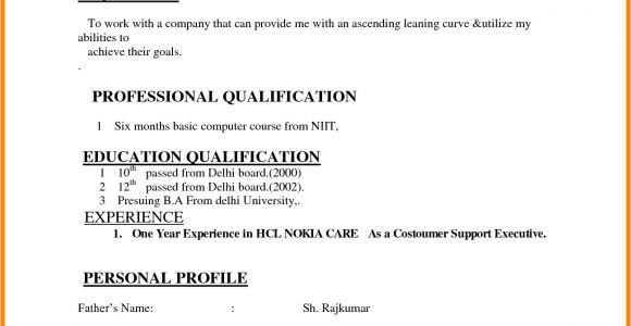 Basic Resume Examples India India Resume format Download Simple Resume format